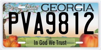 GA license plate PVA9812