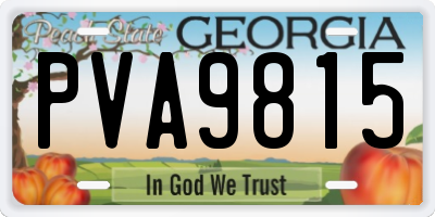 GA license plate PVA9815