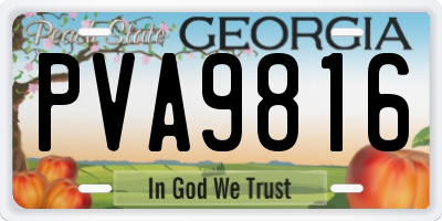 GA license plate PVA9816