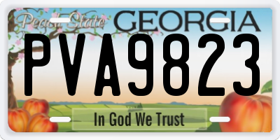 GA license plate PVA9823