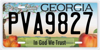 GA license plate PVA9827