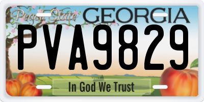 GA license plate PVA9829