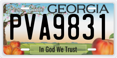 GA license plate PVA9831