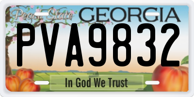 GA license plate PVA9832