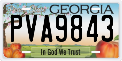 GA license plate PVA9843