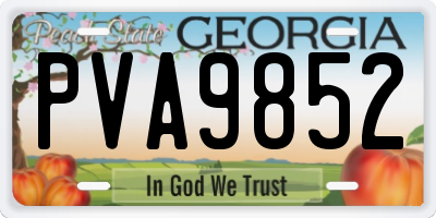 GA license plate PVA9852