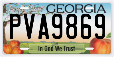 GA license plate PVA9869