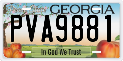 GA license plate PVA9881