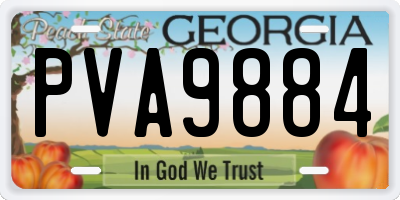 GA license plate PVA9884