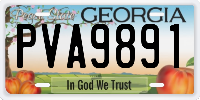 GA license plate PVA9891