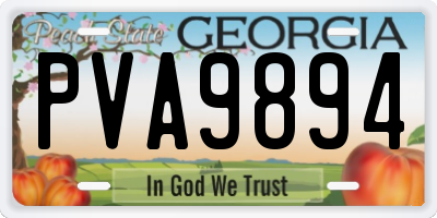 GA license plate PVA9894