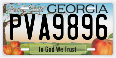 GA license plate PVA9896