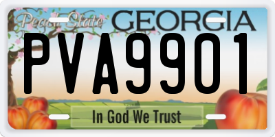 GA license plate PVA9901