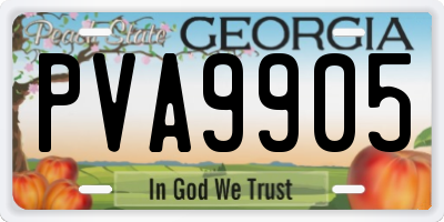 GA license plate PVA9905