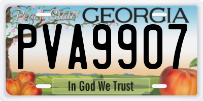 GA license plate PVA9907