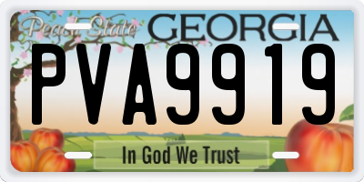 GA license plate PVA9919