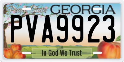 GA license plate PVA9923