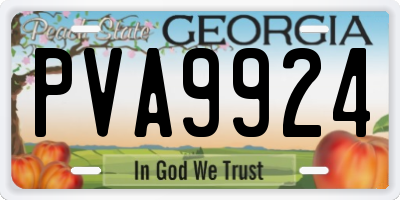 GA license plate PVA9924