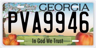 GA license plate PVA9946