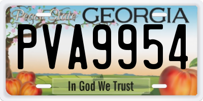 GA license plate PVA9954