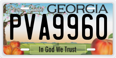 GA license plate PVA9960