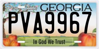 GA license plate PVA9967
