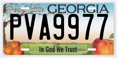 GA license plate PVA9977