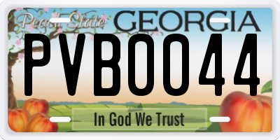 GA license plate PVB0044