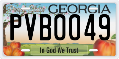 GA license plate PVB0049