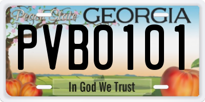 GA license plate PVB0101