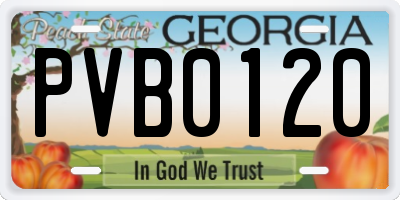GA license plate PVB0120