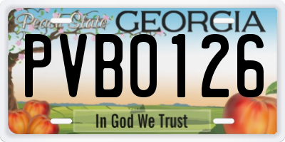 GA license plate PVB0126