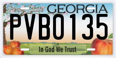 GA license plate PVB0135