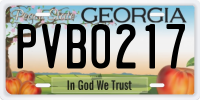 GA license plate PVB0217