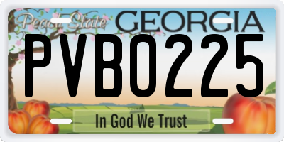 GA license plate PVB0225