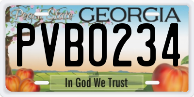 GA license plate PVB0234