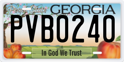 GA license plate PVB0240