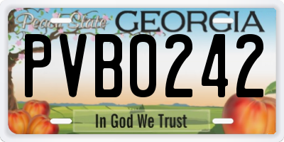 GA license plate PVB0242