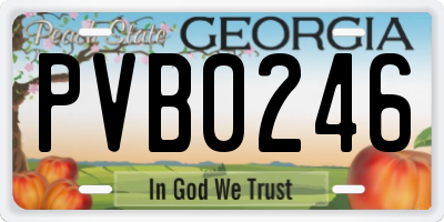 GA license plate PVB0246