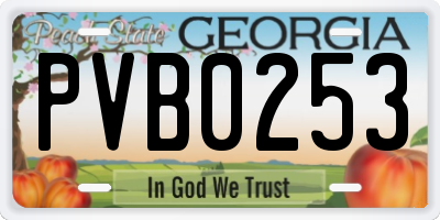 GA license plate PVB0253