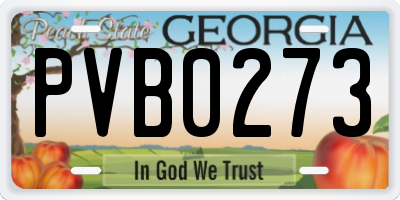 GA license plate PVB0273
