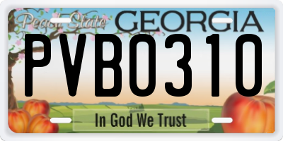 GA license plate PVB0310