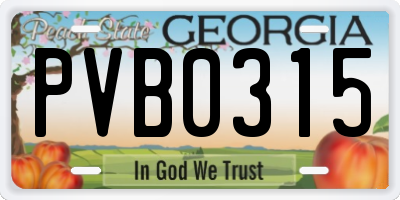 GA license plate PVB0315
