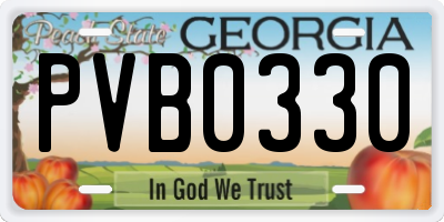 GA license plate PVB0330