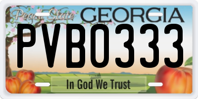 GA license plate PVB0333