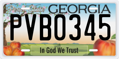 GA license plate PVB0345