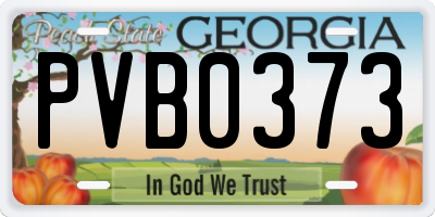 GA license plate PVB0373