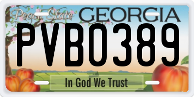 GA license plate PVB0389