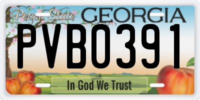 GA license plate PVB0391