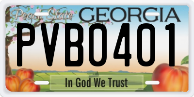 GA license plate PVB0401